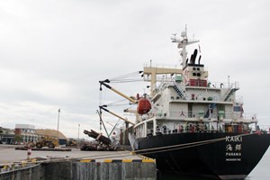 Huge cargo ship moors in Quy Nhon port